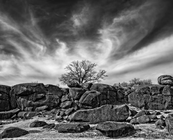 Black and white photo with layers of large boulders and a tree peeping up behind