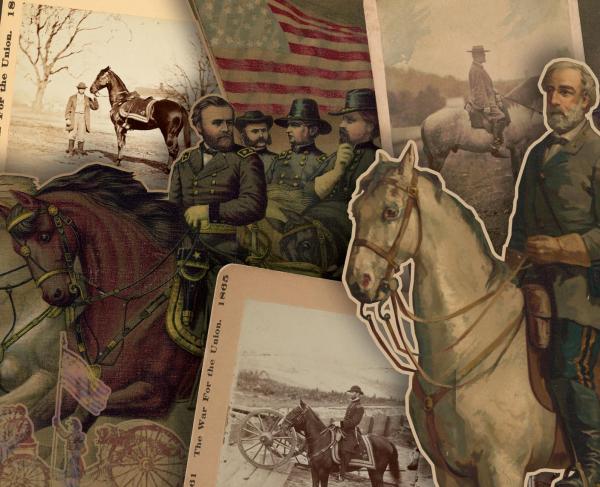 A collage of notable horses of the American Civil War