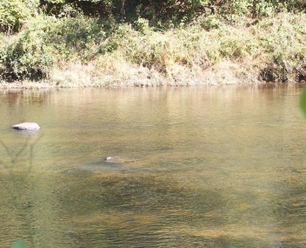 The Rappahannock River at Kelly's Ford Battlefield.