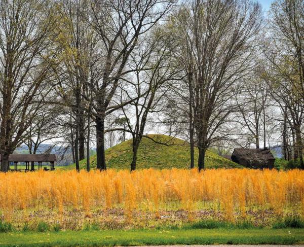 Field and trees with a park structure and large mound in the center of the photo