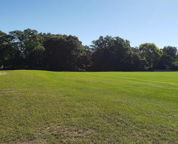 Hobkirk Hill, Camden, S.C.