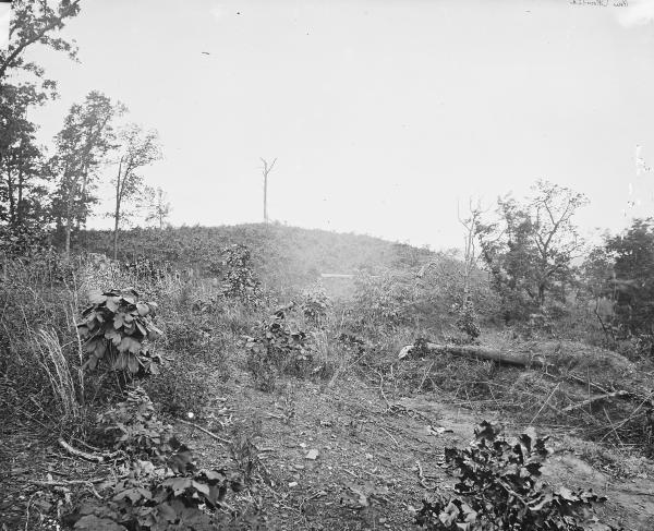 Pine Mountain, Ga., 1864, where Gen. Polk was killed