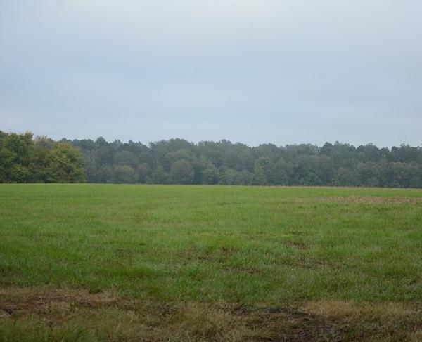 Prairie D'Ane Battlefield