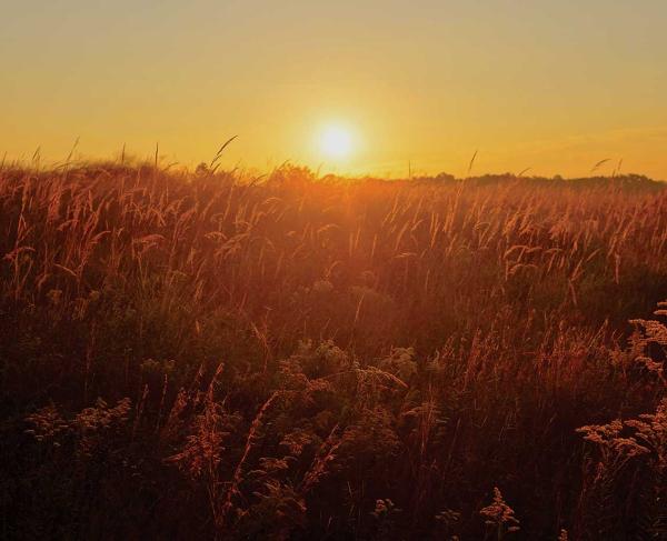 Sunrise at Manassas National Battlefield Park, Va.