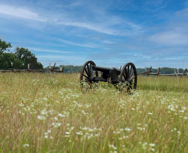 A cannon sits amongst wild grasses and flowers on the Second Manassas Battlefield