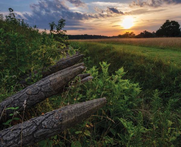 Sunset at Yorktown Battlefield