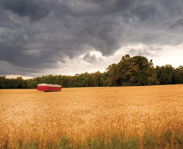 Gaines' Mill Battlefield