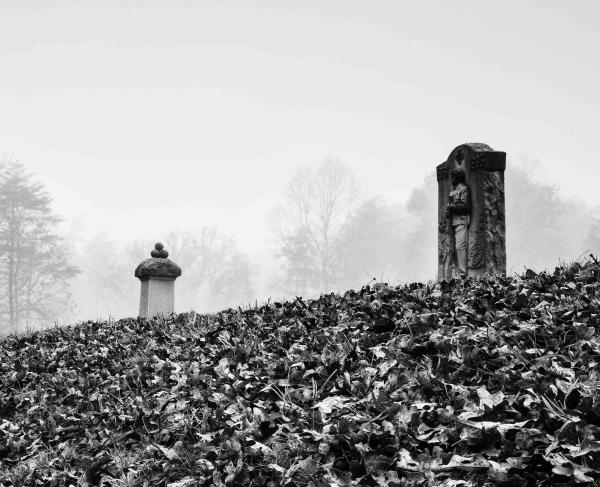 “Bloody Angle, Spotsylvania Courthouse Civil War Battlefield” | Spotsylvania County, Va.