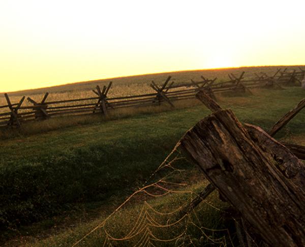 This is an image of the Antietam battlefield at sunset. 