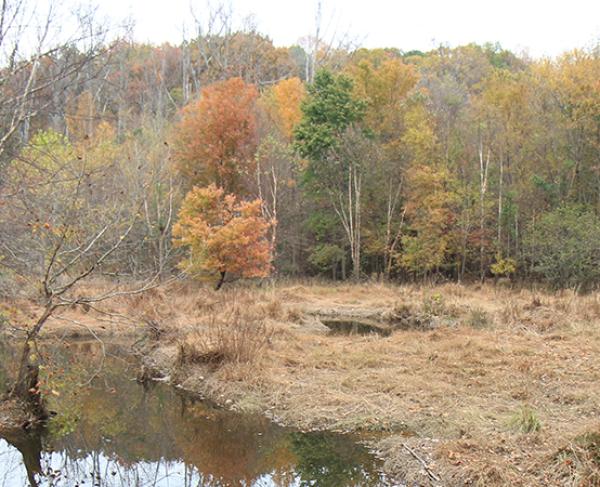 Photograph of Beaver Dam Creek in the autumn