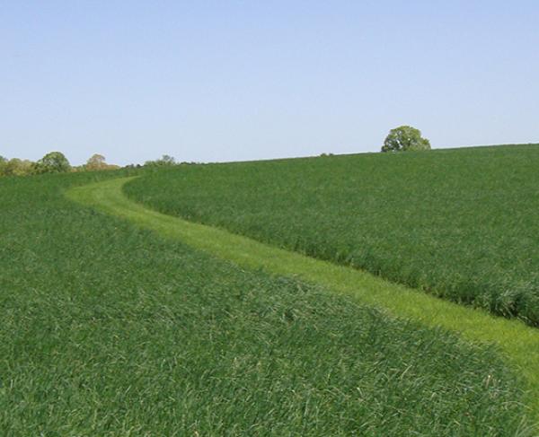 rattray battlefields tours