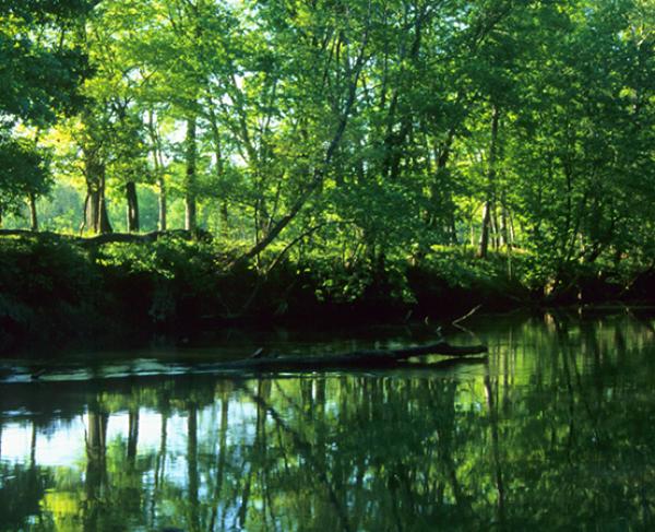 The water at Chickamauga Creek