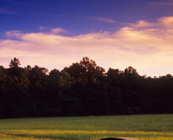 chickamauga battlefield tour map