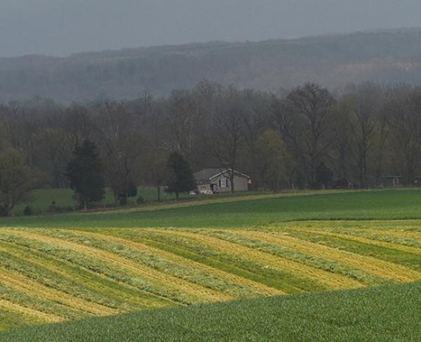 This is a landscape image of the Cross Keys battlefield on a cloudy, misty day. 