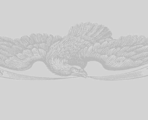 Sketch of an eagle spreading its wings with a banner in its mouth