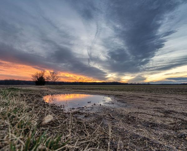 Sunset over Slaughter Pen Farm in Fredericksburg