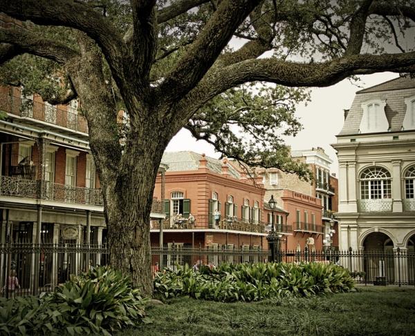 A photograph of New Orleans