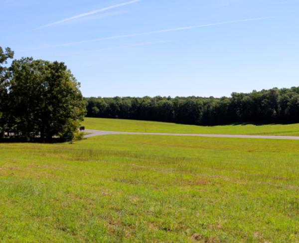 Photograph of Saunders Field at Wilderness