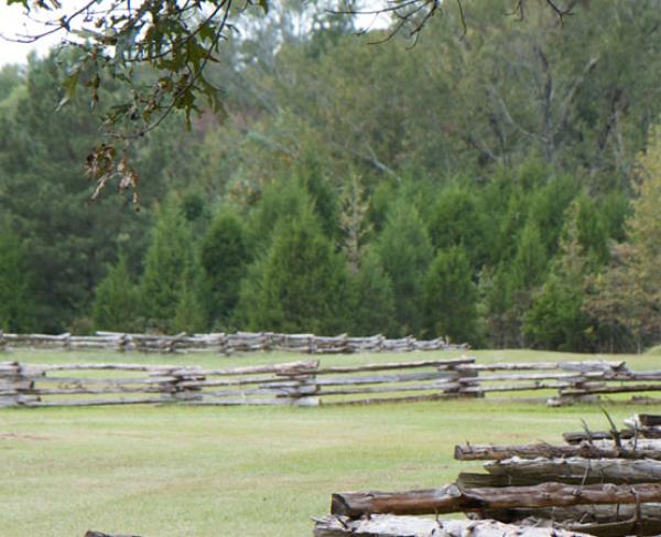 Split rail fences at Shiloh Battlefield