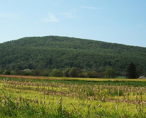 Photograph of the South Mountain Battlefield during the daytime