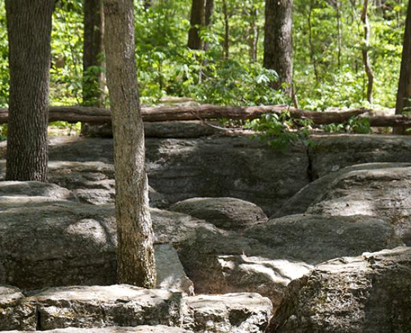 This is a photograph of the rocks at Stones River battlefield. 