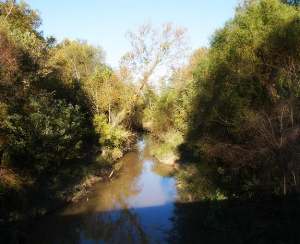 Baker's Creek Lower full width