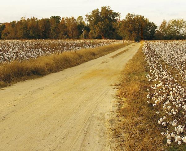 Bentonville Battlefield
