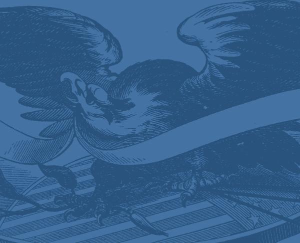 This is a sketch of a bald eagle spreading its wings. 
