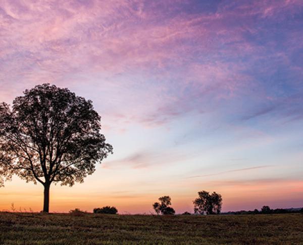 Brandy Station