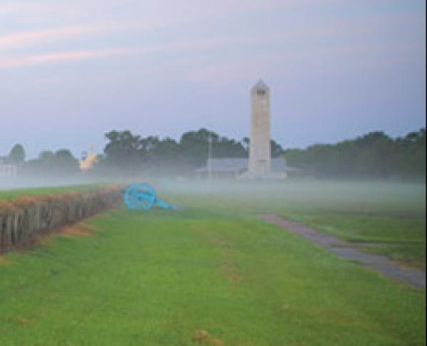 Chalmette New Orleans Landscape