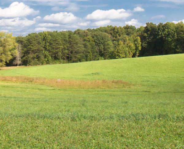 virtual tour of gettysburg college