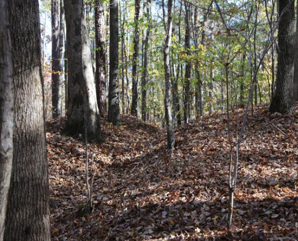 Confederate Rifle Pits (700x)