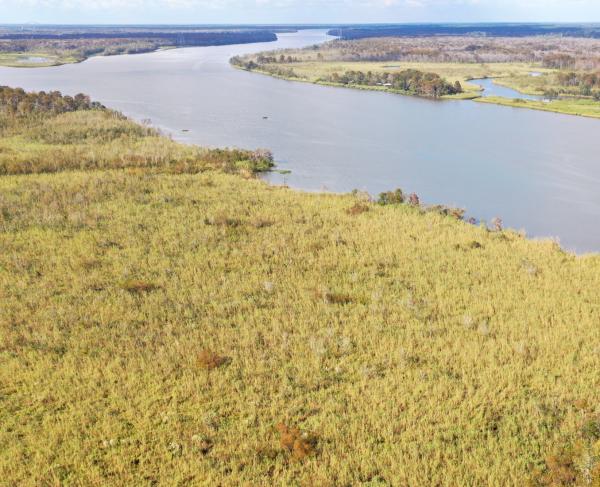 Ariel view of Blakeley Bluffs property