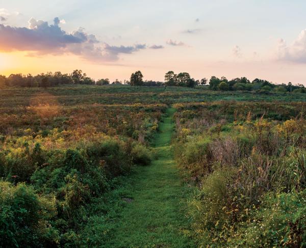 Perryville Battlefield