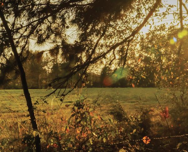 Waxhaws Battlefield in South Carolina