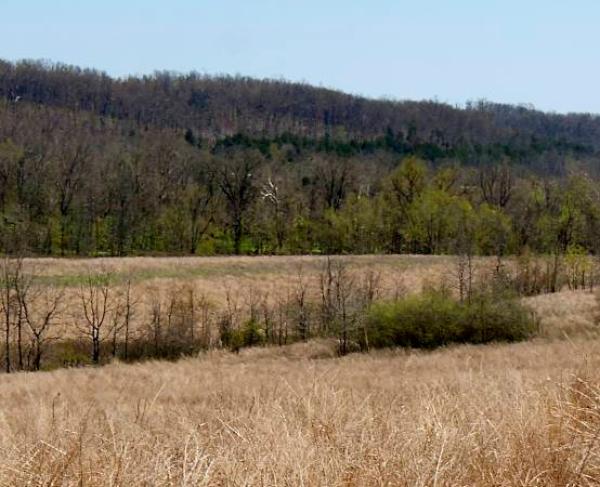 Photograph of Wilson's Creek