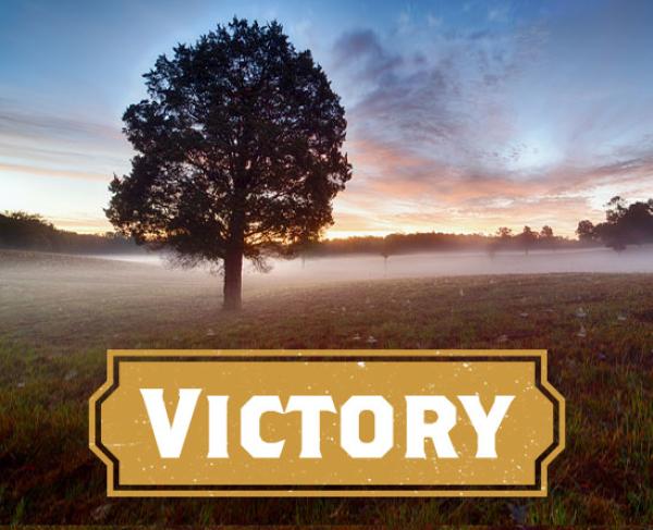 A misty morning on a battlefield. A tree stands in the foreground.