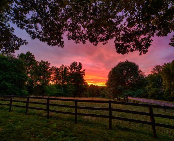 The Wilderness, Spotsylvania and Orange Counties, Va.