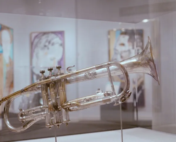 New Orleans Virtual Field Trip chapter thumbnail