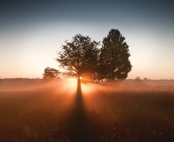 Appomattox Battlefield 