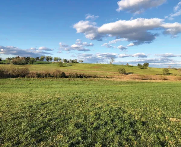 Fleetwood Hill, the scene of some of the fiercest fighting during the Battle of Brandy Station.