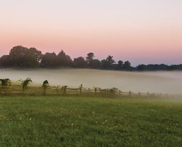 Brandywine Battlefield
