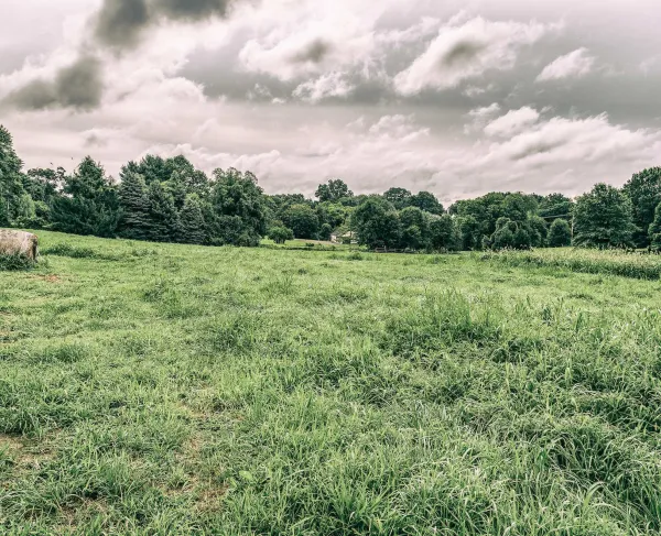 Brandywine (Dilworth Farm) by Robert James