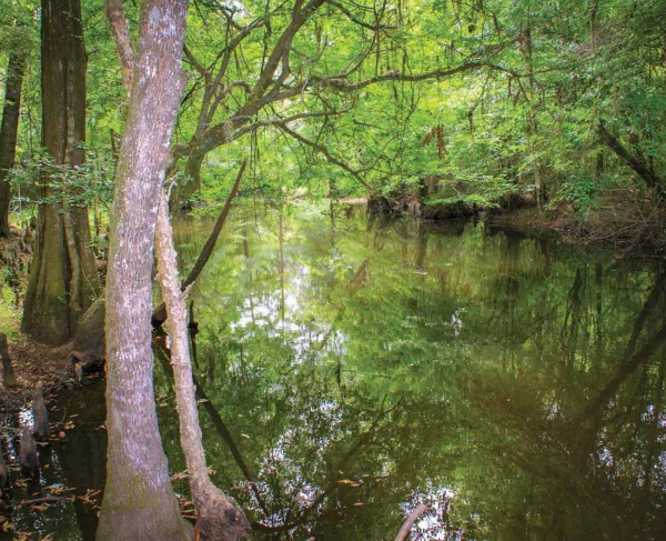 Brier Creek Revolutionary War Battlefield Memorial, Sylvania, Ga.