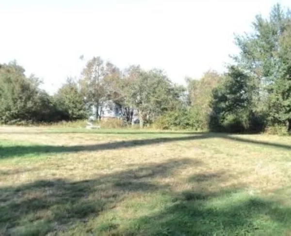 A sunlit grassy field stretches toward a dense line of leafy trees, with long shadows cast across the ground.