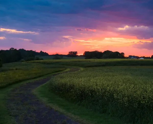 A vivid dusk sky at Chancellorsville Battlefield. A path leads into the distance.
