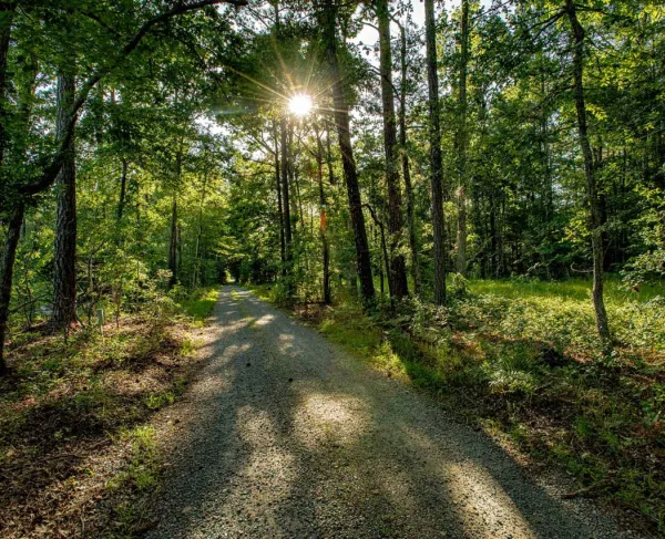 New Market Heights Battlefield, Henrico County, Va.