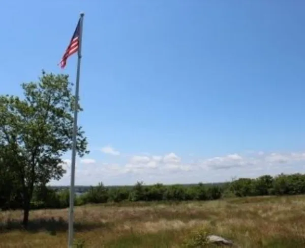 A tall flagpole flying the U.S. flag rises from an open grassy field, with a leafy green tree beside it and a line of trees along the horizon.