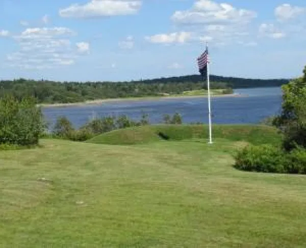 A tall flagpole stands in a grassy clearing, flying the United States flag against a bright sky with scattered white clouds. 