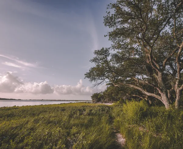 The Remnants of Fort Johnson